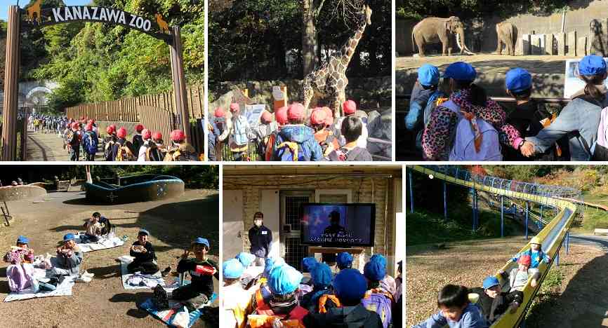 251120-2年金沢動物園